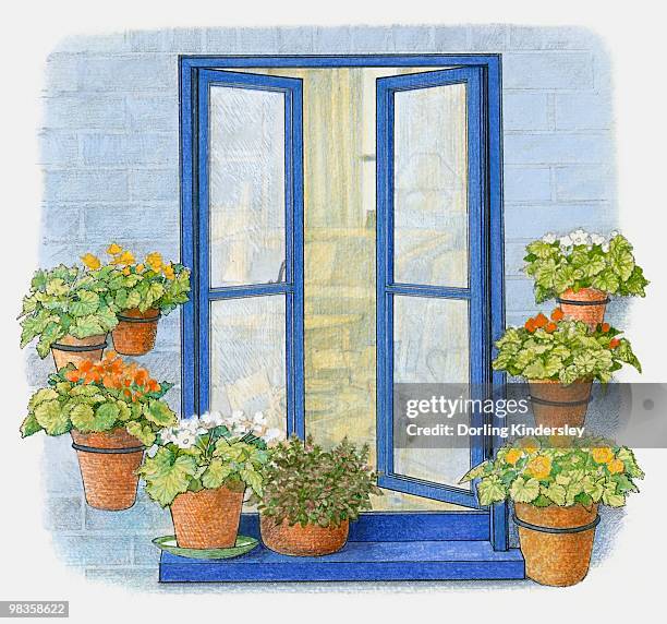 illustration of flower pots on windowsill and in metal hoops on wall outside window - window sill stock illustrations