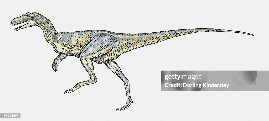 Illustration of Herrerasaurus bipedal