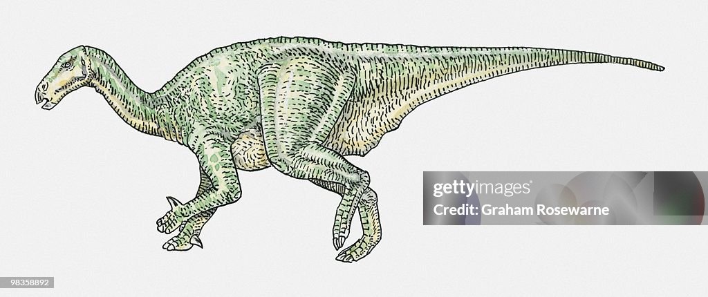 Illustration of Iguanodon ornithopod dinosaur