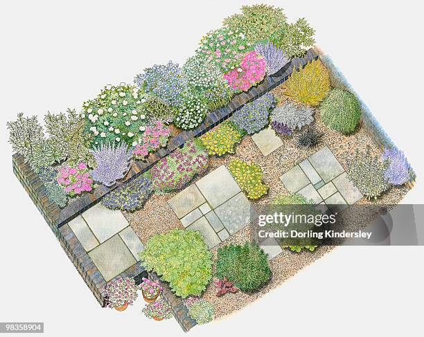 illustration of a gravelled garden partly covered with paving slabs, containing shrubs, herbs, pot plants, and flower beds divided by brick wall - brick garden wall stock illustrations