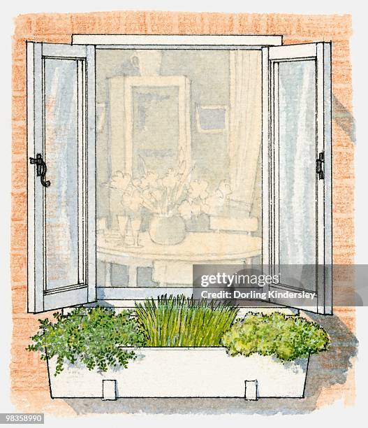Window Box Flower Drawing 56 Flower Box Illustration High Res Illustrations - Getty Images