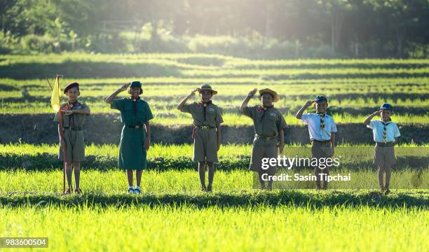 boy scout - pfadfinder stock-fotos und bilder