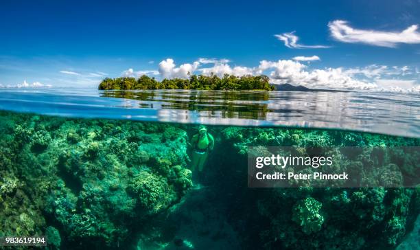 double vision - solomon islands stock pictures, royalty-free photos & images