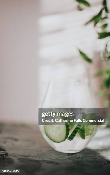 refreshing glass of water or gin and tonic - gin tonic photos et images de collection