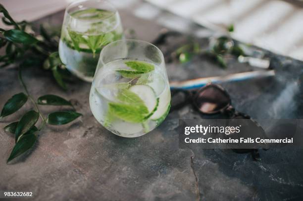 refreshing glass of water or gin and tonic - gin tonic photos et images de collection