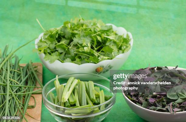 coriander, chives, spring onion and ocimum basilicum 'magic mountain' - basilikum photos et images de collection