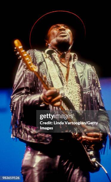 American blues musician Eddy 'The Chief' Clearwater performs at the World Music Institute 'A Festival of the Blues: A Night in Mississippi' concert...