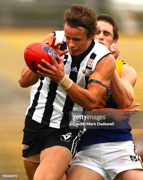 Luke Rouns Callan Park Photos and Premium High Res Pictures - Getty Images