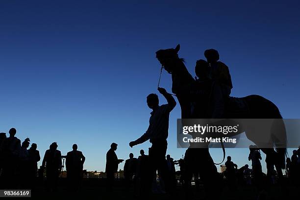 Horses parade before race seven The David Jones AJC Australian Derby during 2010 Derby Day at Royal Randwick Racecourse on April 10, 2010 in Sydney,...