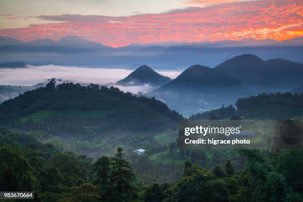 scenery the famous attraction in taiwan, asia. scenery near sun moon lake, sun moon lake in taiwan, asia. yuchi township, nantou county, taiwan - nantou county stock-fotos und bilder