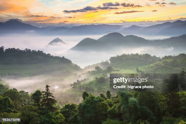 scenery the famous attraction in taiwan, asia. scenery near sun moon lake, sun moon lake in taiwan, asia. yuchi township, nantou county, taiwan - nantou county stock-fotos und bilder