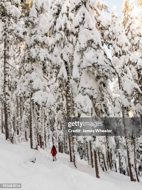 snowshoeing - forrest wheeler fotografías e imágenes de stock