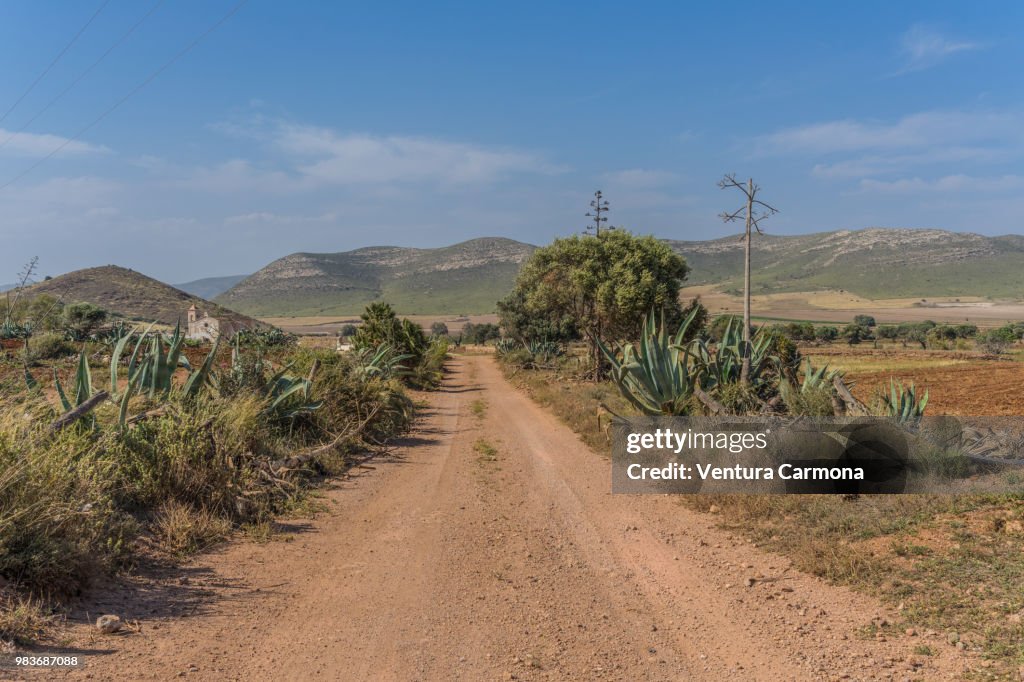 Desert landscape near the Village of Rodalquilar - AlmerÃa, Spain