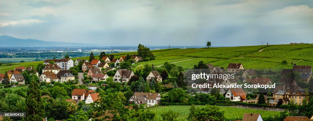 Wide aerial high resolution panoramic view of Ribeauville, Alsace, France