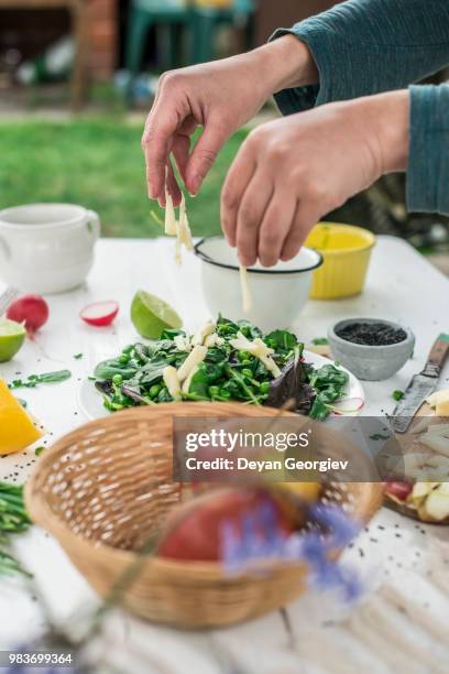 adding chopped apple. salad of baby spinach, watercress, radishe - fresh baby spinach stock pictures, royalty-free photos & images