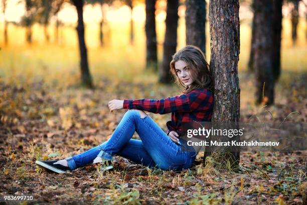 sunset in the firest - firest stock pictures, royalty-free photos & images