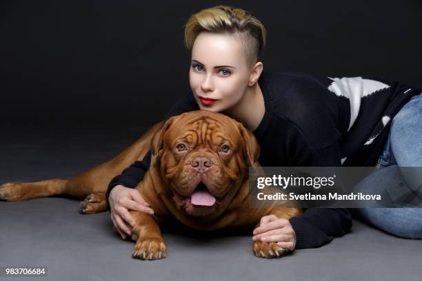 girl with big brown dog - french mastiff stock pictures, royalty-free photos & images