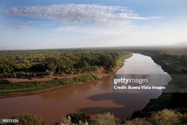 the omo river - lower omo valley stock pictures, royalty-free photos & images