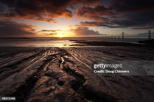 the new severn bridge crossing at dawn - mud flat stock pictures, royalty-free photos & images