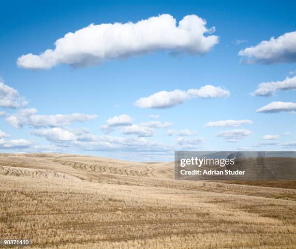 clouds over fields - winona stock pictures, royalty-free photos & images