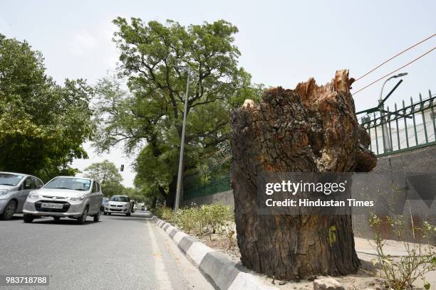 View of chopped trees on Mathura road near Sunder Nagar, New Moti Bagh, on June 25, 2018 in New Delhi, India. The Delhi High Court has put on hold a...