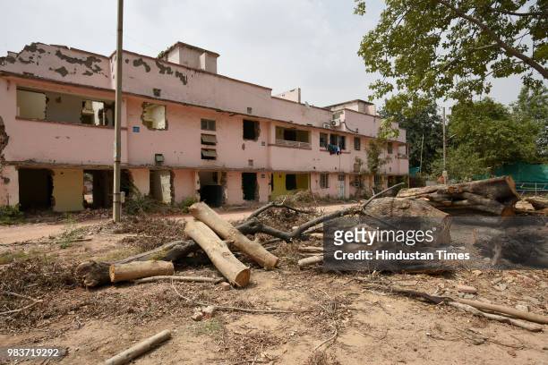 Chopped trees seen at Netaji Nagar, on June 25, 2018 in New Delhi, India. The Delhi High Court has put on hold a controversial project that required...