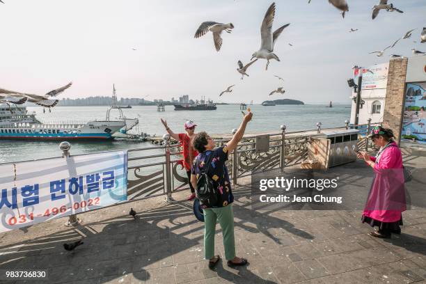 Chinese tourists give snacks to seagulls near the "Green Beach" on Wolmido Island where the Operation Chromite by the U.S. Military was carried out...