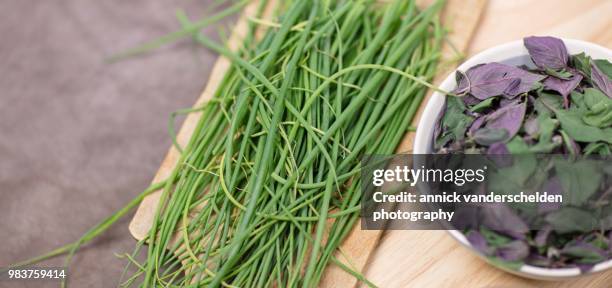 chives and ocimum basilicum 'magic mountain' - basilikum photos et images de collection