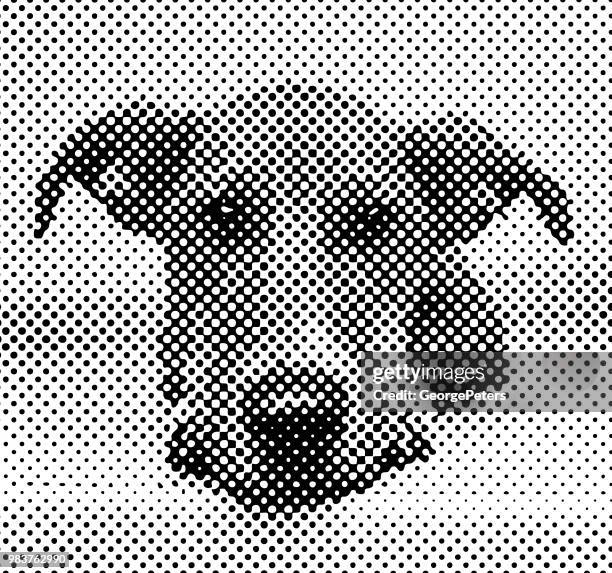 stockillustraties, clipart, cartoons en iconen met gemengd ras terrier hond hopen te worden vastgesteld - mixed breed dog