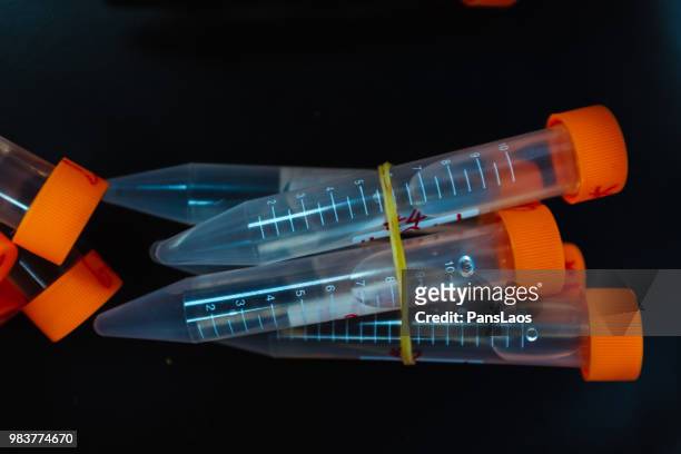 test tubes for medical chemical analysis - advance 2018 exam stock pictures, royalty-free photos & images