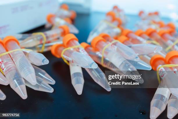 test tubes for medical chemical analysis - advance 2018 exam stock pictures, royalty-free photos & images