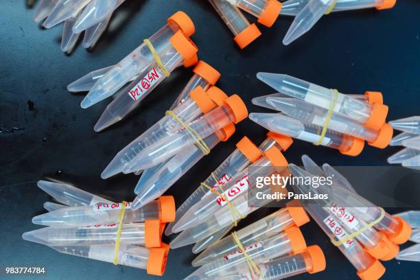 test tubes for medical chemical analysis - advance 2018 exam stock pictures, royalty-free photos & images