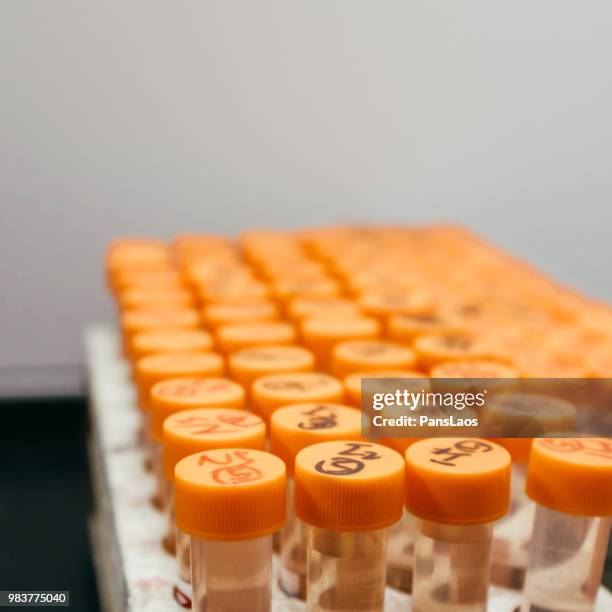 test tubes for chromatographic mass spectrometry analysis - advance 2018 exam stock pictures, royalty-free photos & images