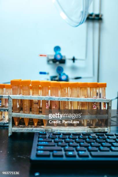 test tubes for chromatographic mass spectrometry analysis - advance 2018 exam stock pictures, royalty-free photos & images