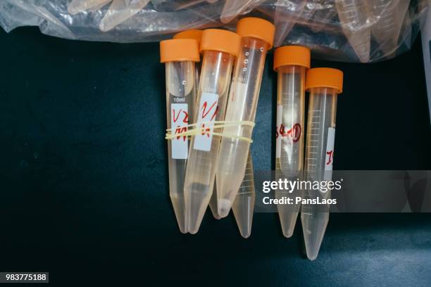 test tubes for chromatographic mass spectrometry analysis - advance 2018 exam stock pictures, royalty-free photos & images