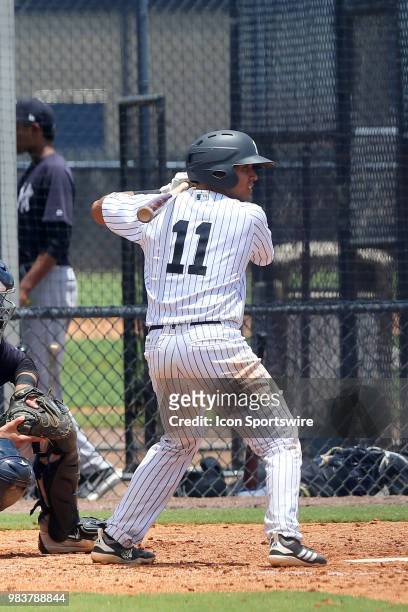 Clearwater, FL 2018 New York Yankees first round pick Anthony Seigler at bat during the Gulf Coast League game between the GCL Yankees East and the...