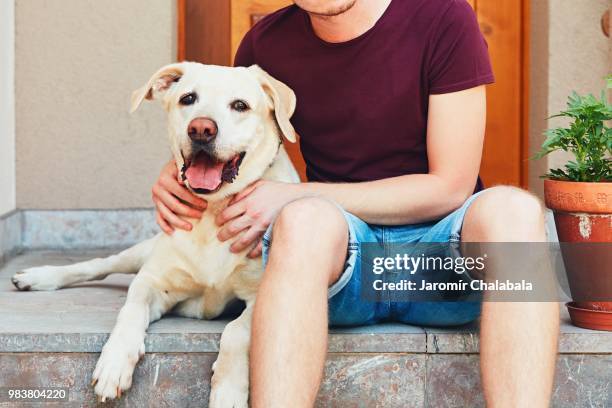 Labrador Owner 339 Labrador Standing With Owner Stock Photos, High-Res Pictures, and ...