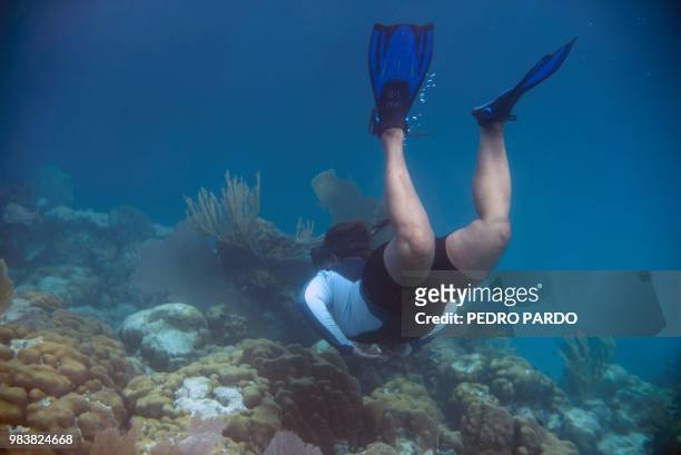 Woman snorkels at the Hol Chan Marine Reserve coral reef in the outskirts of San Pedro village, in Ambergris Cay, Belize, on June 7, 2018. - Backed...