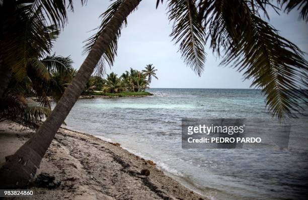 View of the Laughing Bird Caye National Park in the outskirts of Placencia village, in Stann Creek District, Belize, on June 6, 2018. - Backed by...