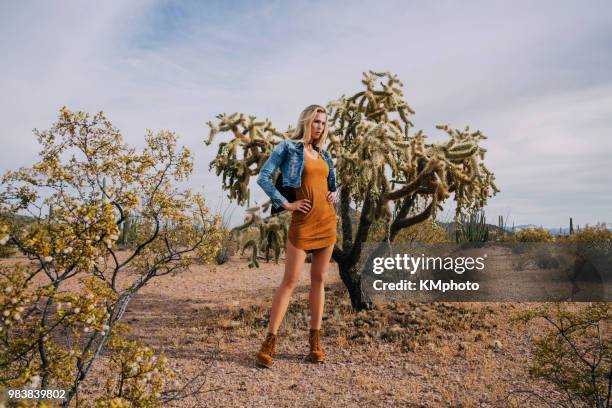 blonde girl in front of cholla tree kmphoto - kmphoto stock pictures, royalty-free photos & images