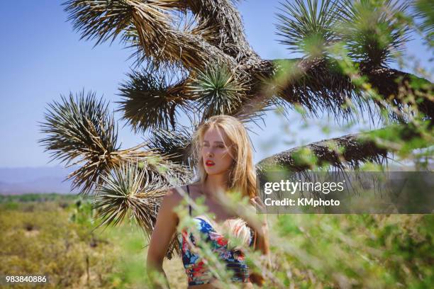blonde girl, joshua tree & green plants kmphoto - kmphoto stock pictures, royalty-free photos & images