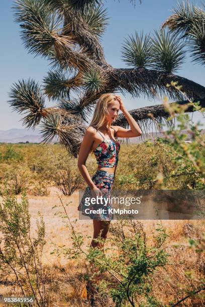 blonde girl with hand on head near joshua tree - kmphoto stock pictures, royalty-free photos & images