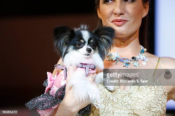 Canine model attends the 2010 Fashion for Paws runway show at the Embassy of Italy on April 10, 2010 in Washington, DC.