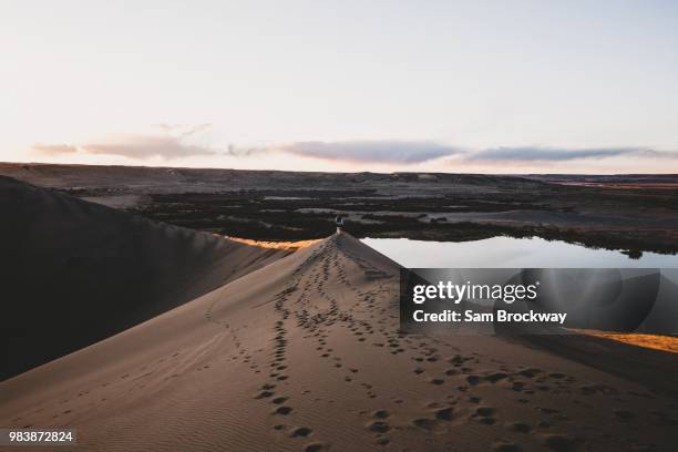 leaving the sand - sam sand dunes stock pictures, royalty-free photos & images