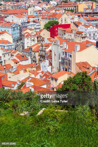 The view over a Lisbon neighborhood from Costa do Castelo.