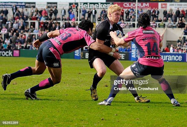 Newcastle's Tom Catterick is tackled by Casey laulala and Leigh Halfpenny during the Newcastle Falcons v Cardiff Blues Amlin Challenge Cup quarter...