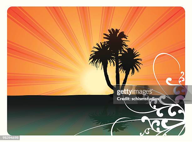 summer palms - palm tree shadow stock illustrations