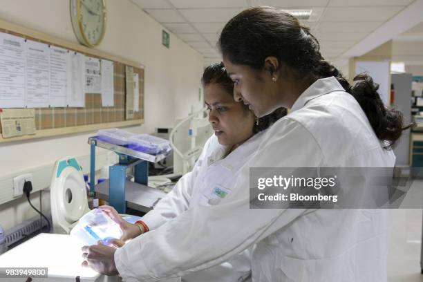 Technicians prepare DNA samples at a GangaGen Inc. Laboratory in Bengaluru, India, on Wednesday, May 30, 2018. The rapid spread of resistant bacteria...