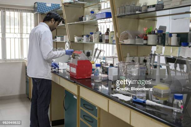 Technician in the microbiology team conducts tests at a GangaGen Inc. Laboratory in Bengaluru, India, on Wednesday, May 30, 2018. The rapid spread of...