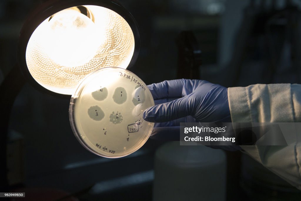 The Startups Waging War Against Superbugs